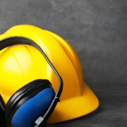 Ödemiş Organize OSGB, Organize OSGB Ödemiş, Ödemiş Organize OSGB Firmaları, Organize OSGB Firmaları Ödemiş